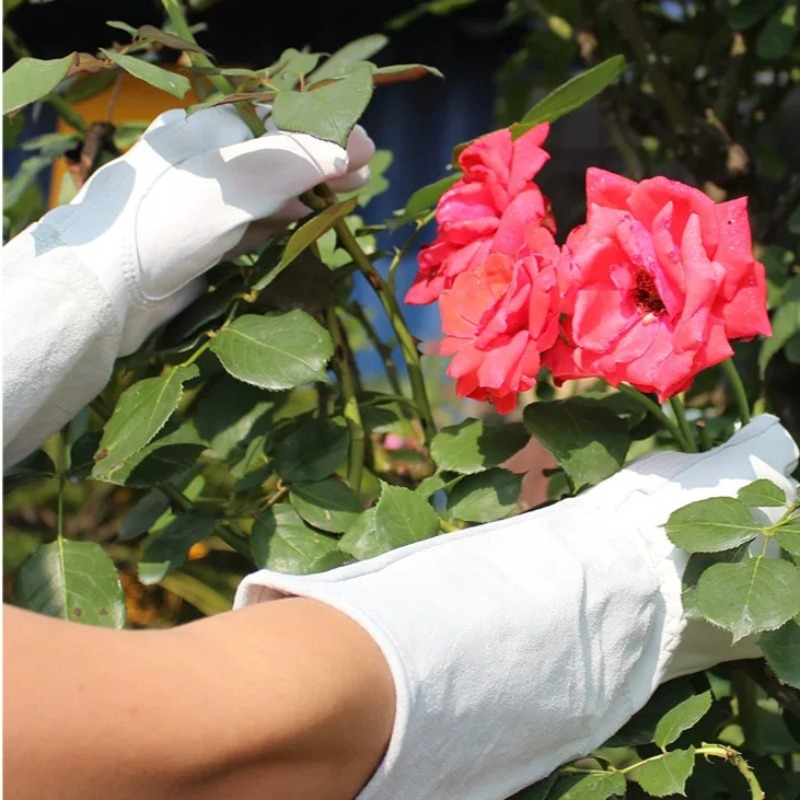 Un Paio di Guanti da Giardinag - Gardening Glove Waterproof recensione e prezzo