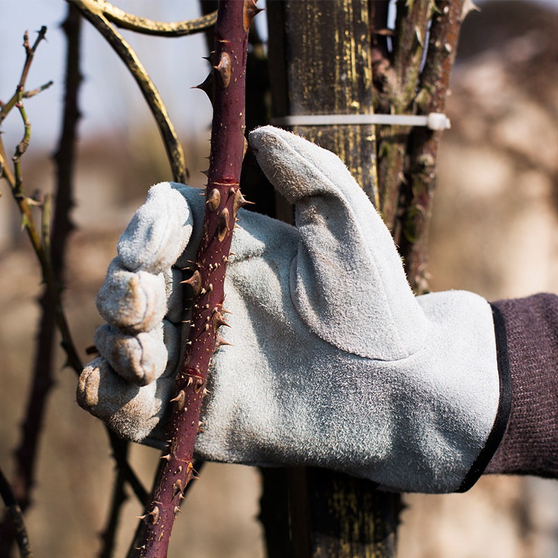 Un Paio di Guanti da Giardinag - Gardening Glove Waterproof recensione e prezzo